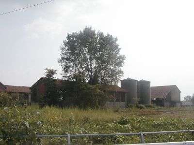 azienda agircola prima di Viboldone